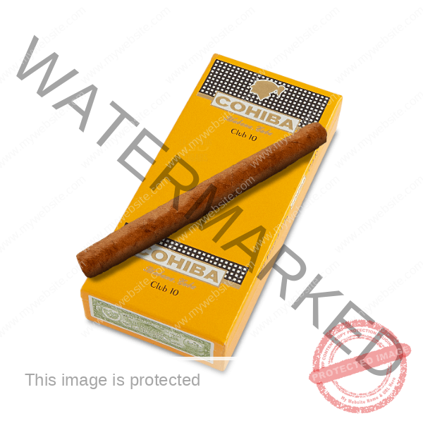 Cohiba_Club_10_La_Saintos_Cigars