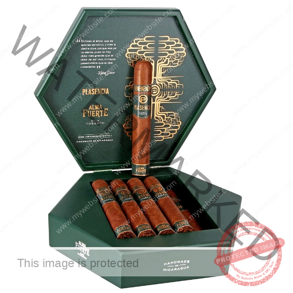 Plasencia_Alma_Fuerte_Sixto_I_Hexagon_La_Saintos_Cigars