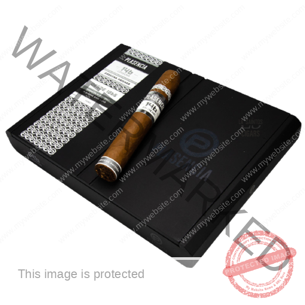 Plasencia_Cosecha_146_San_Luis_La_Saintos_Cigars