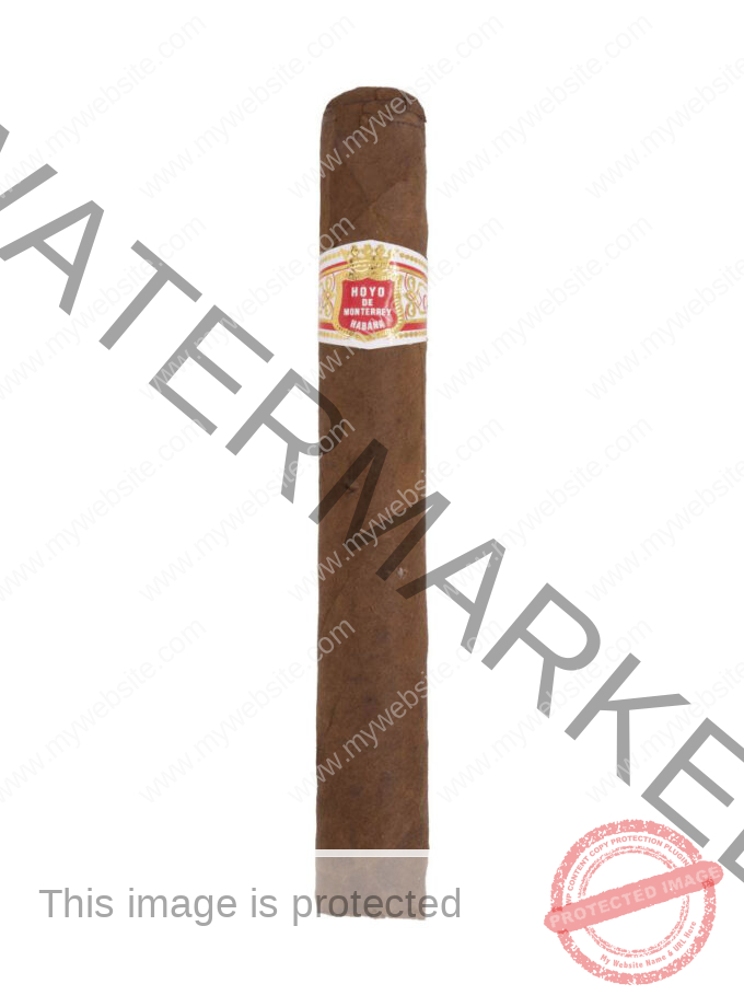 Hoyo de Monterrey Souvenir de Luxe - Single Cigar