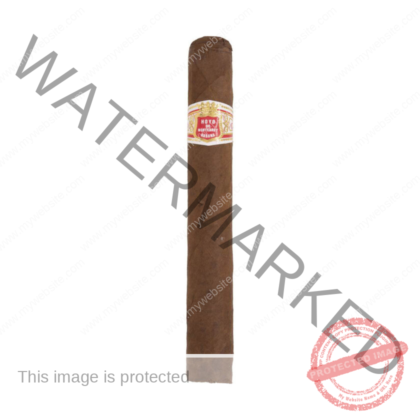 hoyo_de_monterrey_souvenir_de_luxe_la_Saintos_Cigar