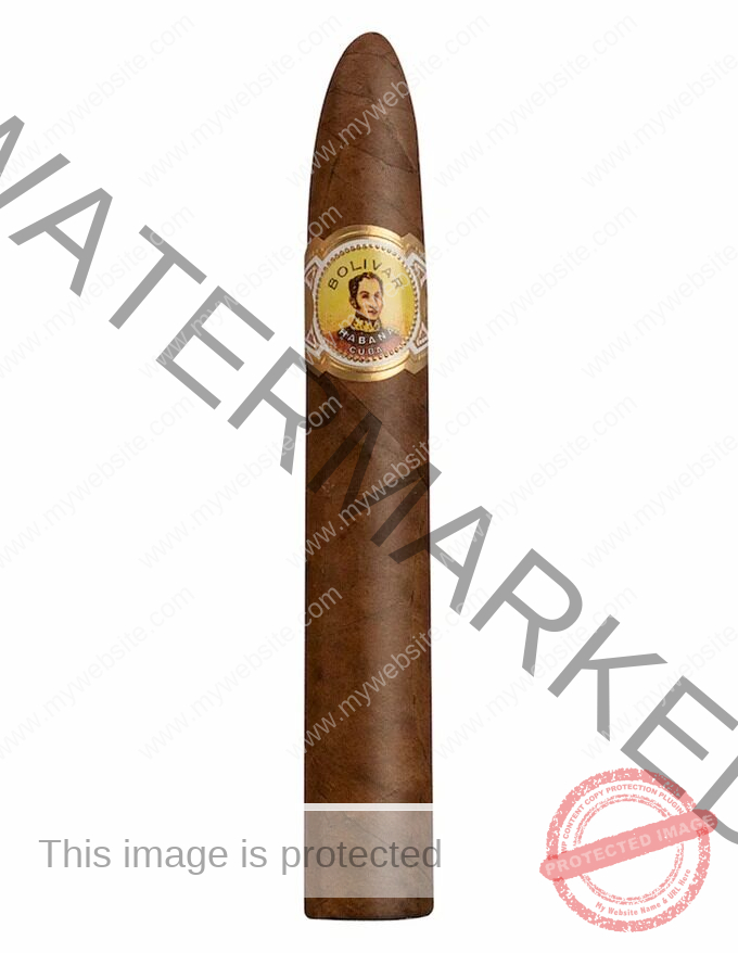 Bolivar Belicosos Finos