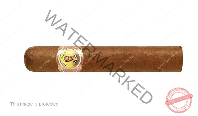 Bolivar Royal Coronas