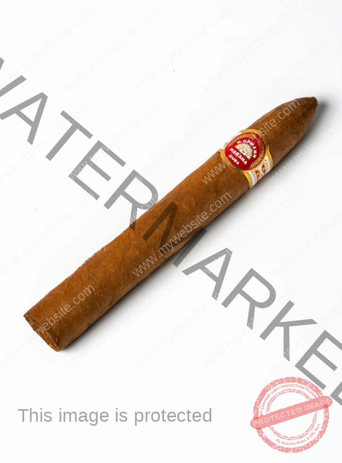 H Upmann No 2