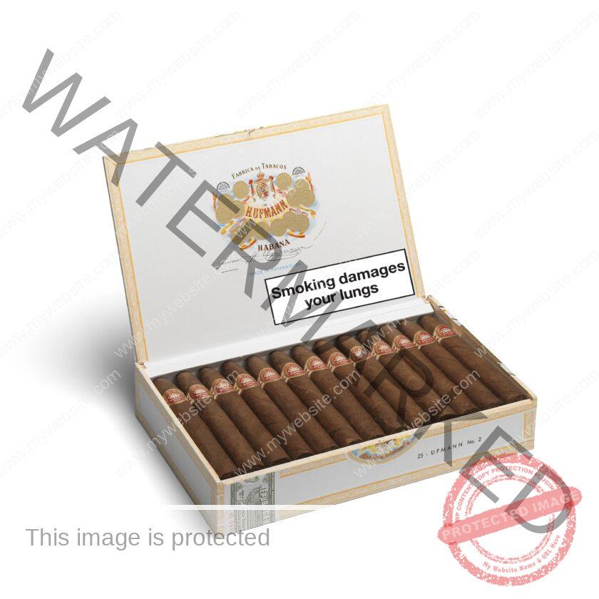 H._Upmann_No_2_La_+Saintos_Cigars