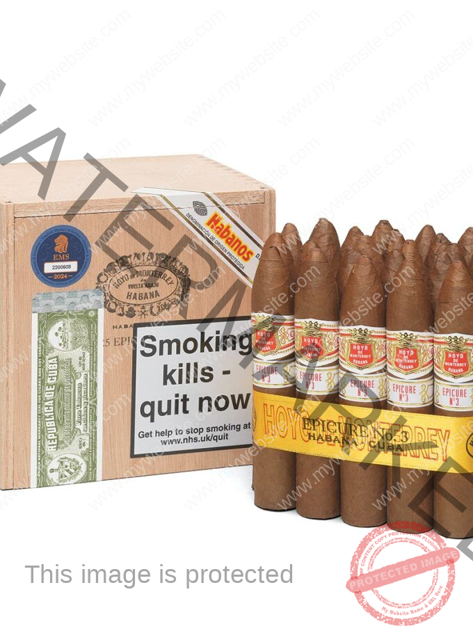 Hoyo de Monterrey Epicure No 3