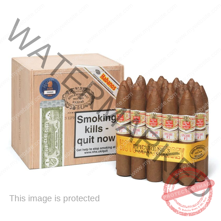Hoyo_De_Monterrey_Epicure_No_3_La_Saintos_Cigars