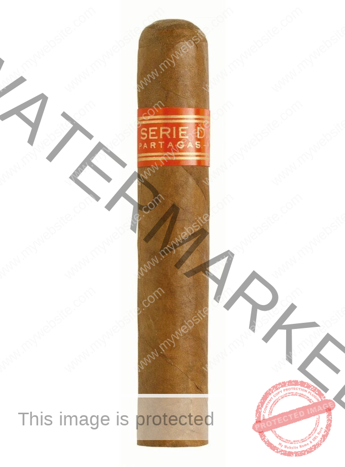 Partagas Serie D No 4
