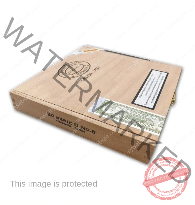 Partagas Serie D No 6