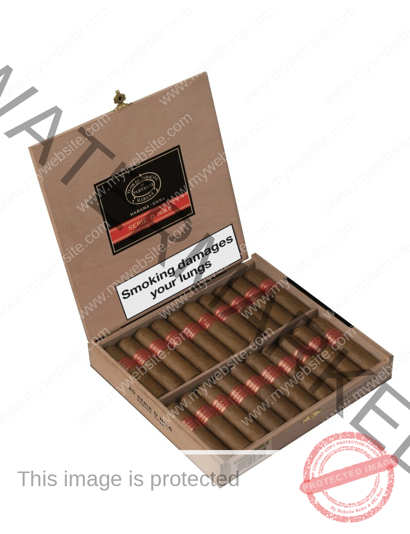 Partagás_Serie_D_No._6_La_Saintos_Cigars