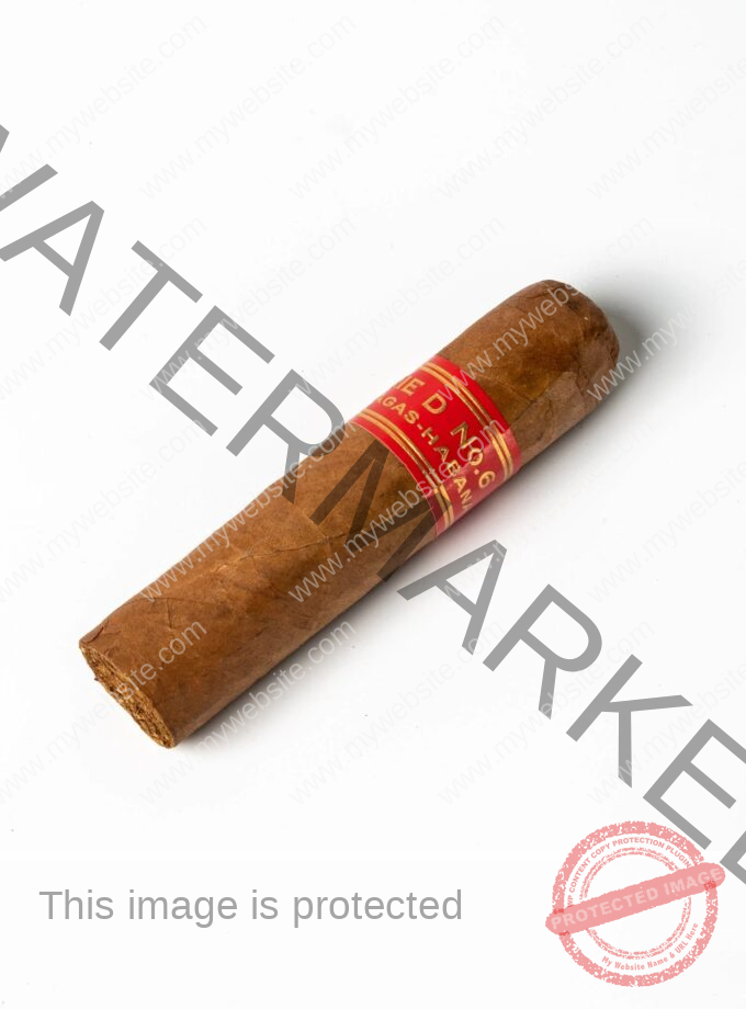 Partagas Serie D No 6