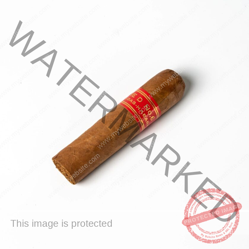 Partagás_Serie_D_No._6_La_Saintos_Cigars