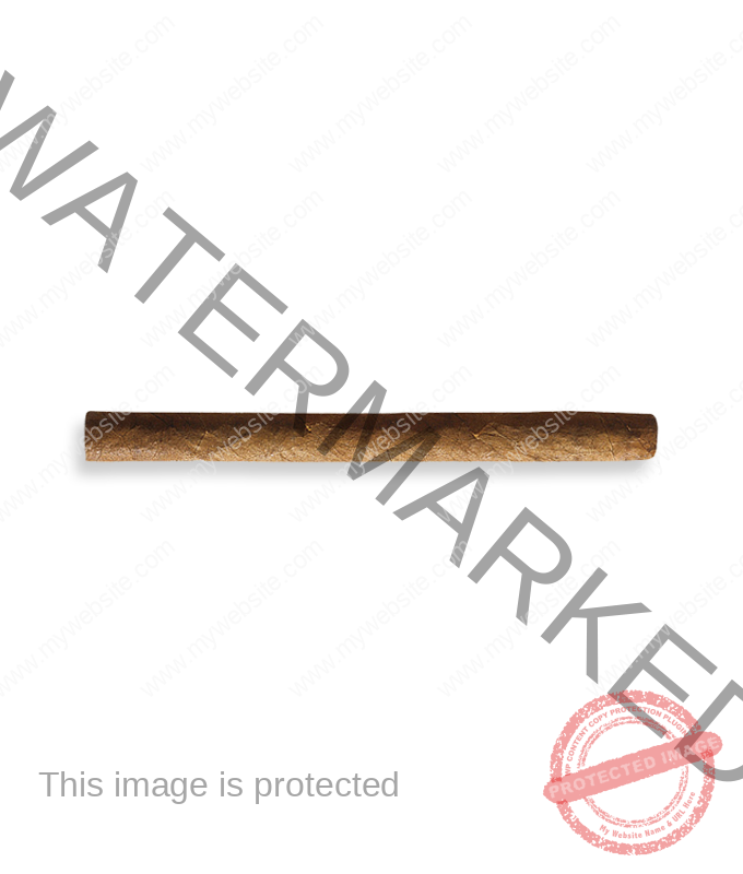 Partagas Serie Mini 10