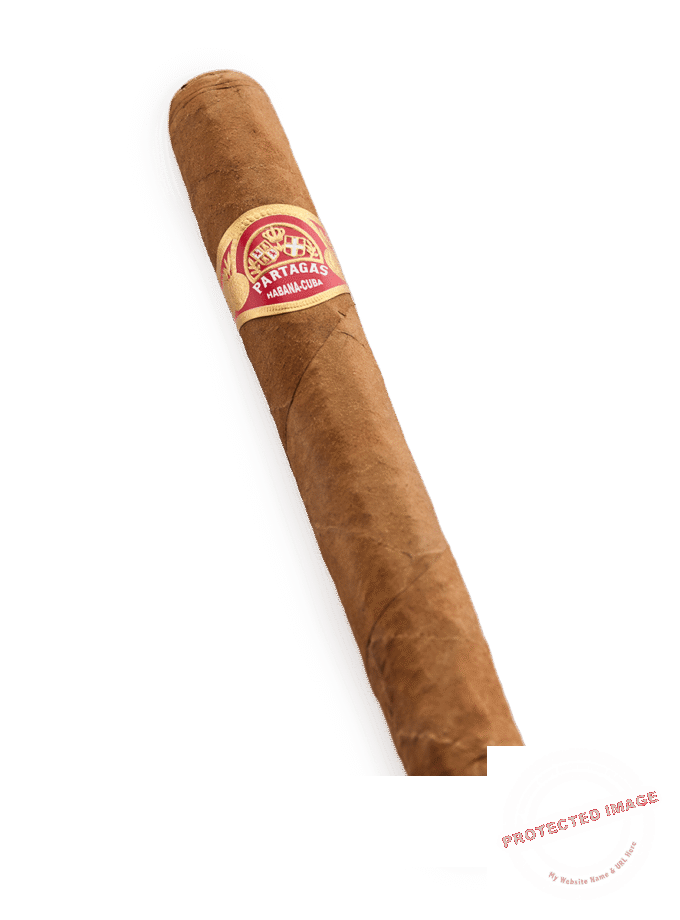 Partagas Mille Fleurs