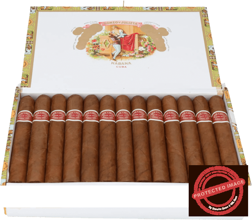 ROMEO_Y_JULIETA_MILLE_FLEURS_La_Saintos_Cigars