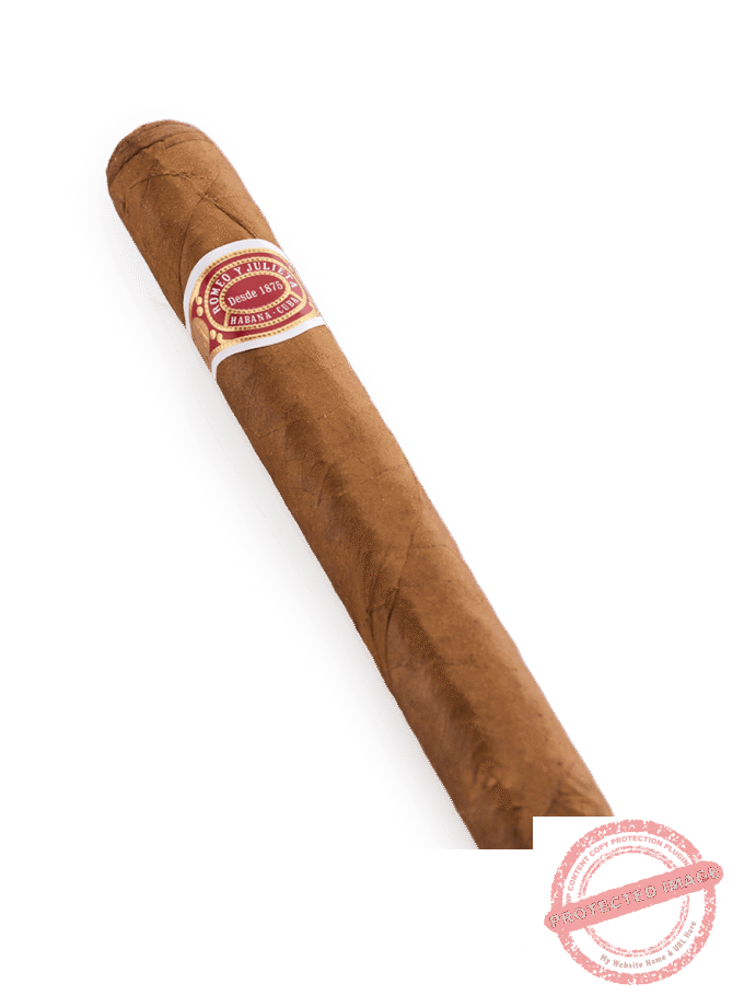 Romeo y Julieta Mille Fleurs