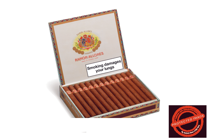 Ramon_Allones_Gigantes_La_Saintos_Cigars
