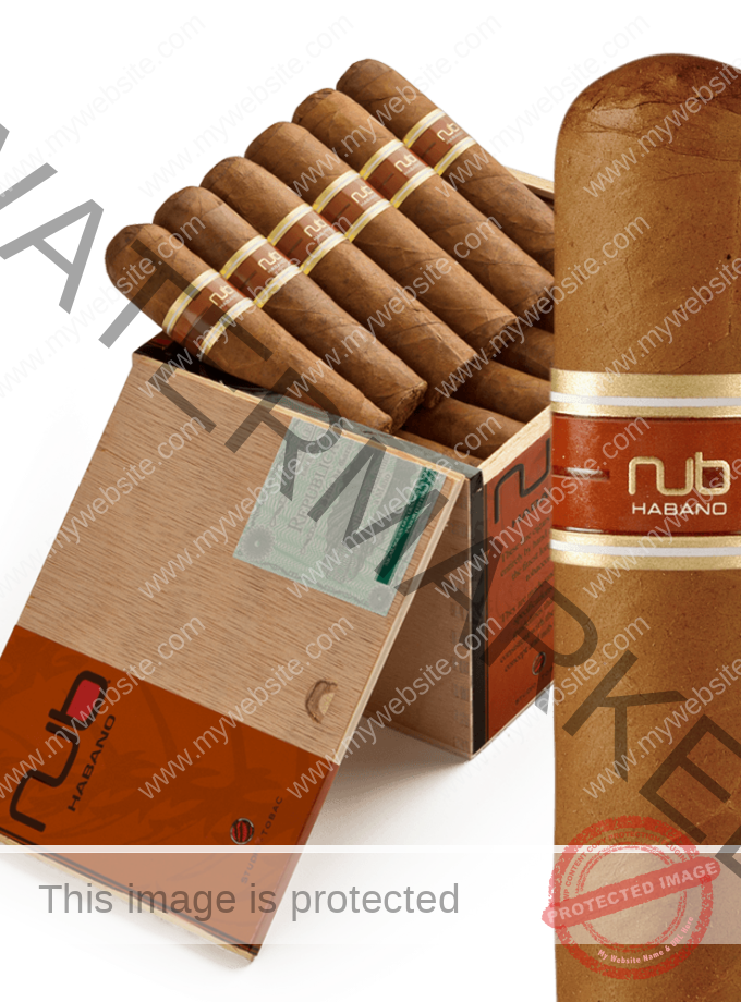Nub Habano 460 La Saintos Cigars