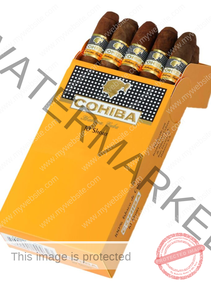 Cohiba Short 10 La Saintos Cigars