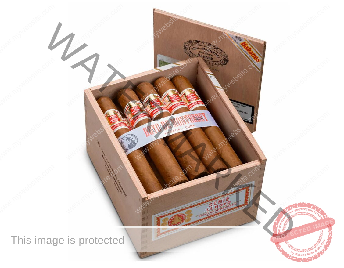 Hoyo de Monterrey Le Hoyo de San Juan La Saintos Cigars