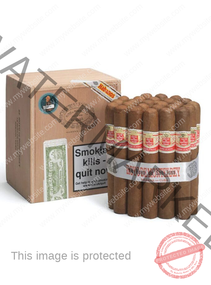 Hoyo de Monterrey Le Hoyo de San Juan La Saintos Cigars