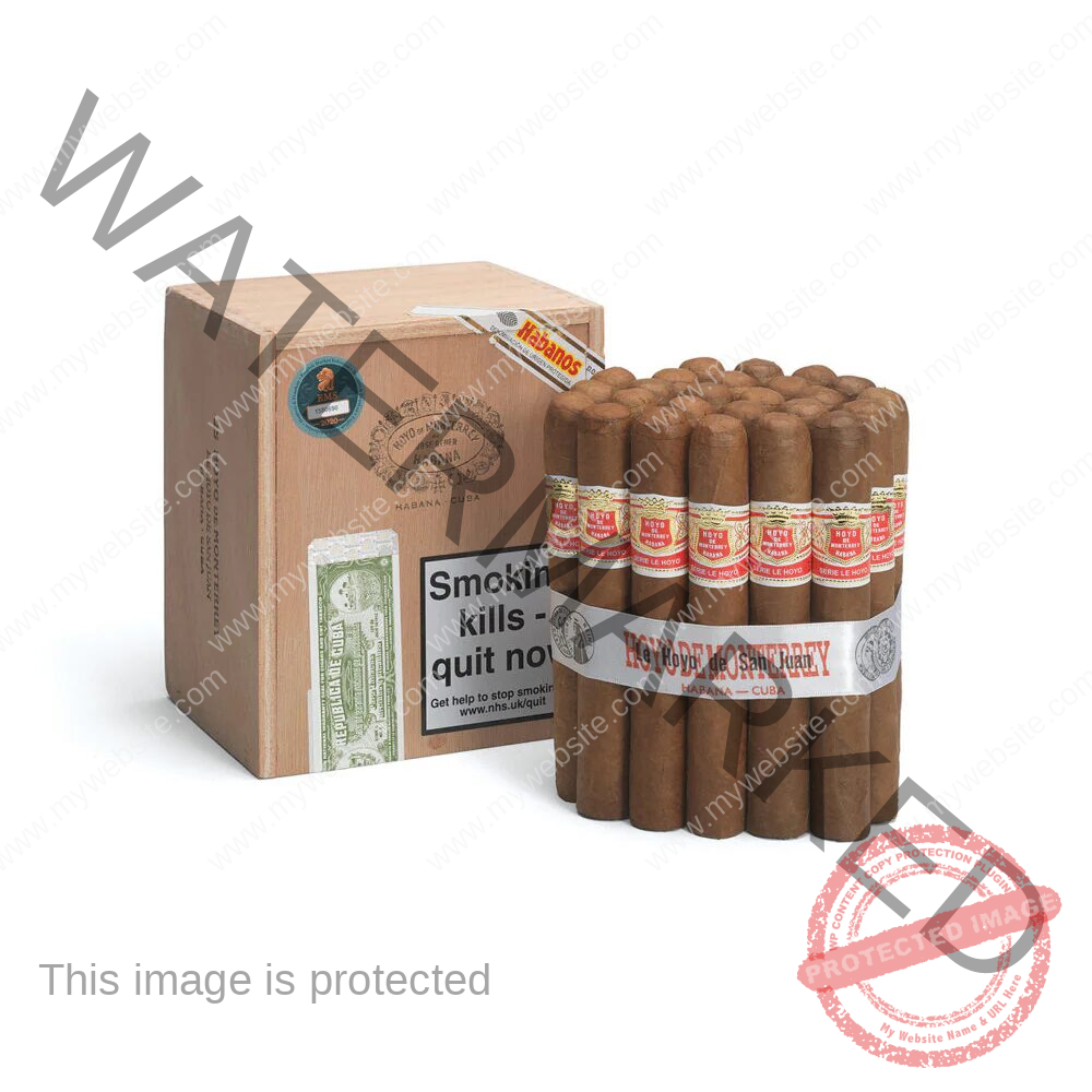 Hoyo de Monterrey Le Hoyo de San Juan La Saintos Cigars