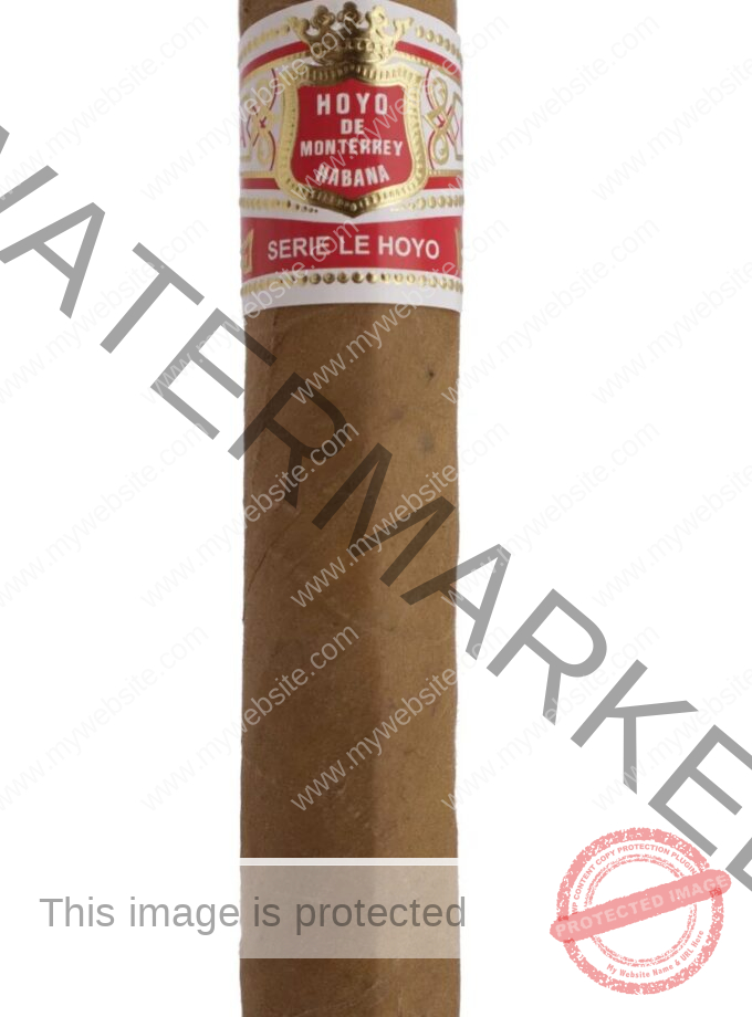 Hoyo de Monterrey Le Hoyo de San Juan