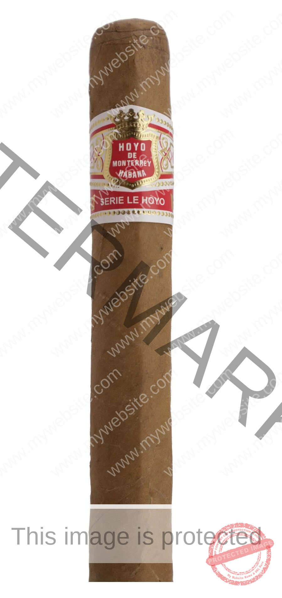 Hoyo de Monterrey Le Hoyo de San Juan La Saintos Cigars