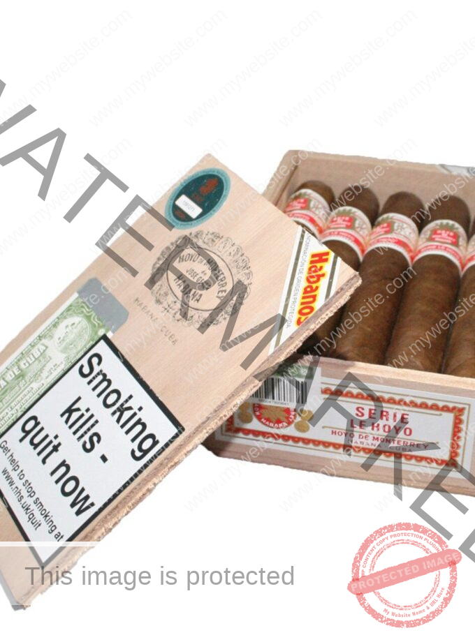 Hoyo de Monterrey Le Hoyo de San Juan