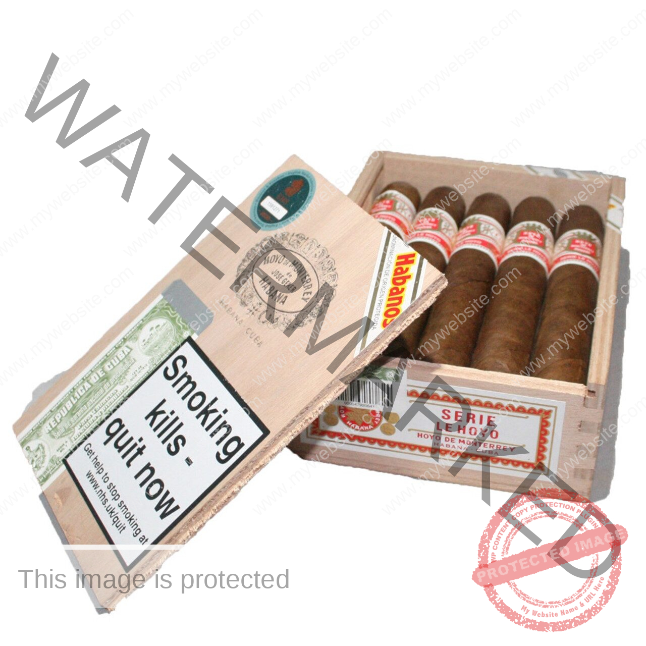 Hoyo de Monterrey Le Hoyo de San Juan La Saintos Cigars