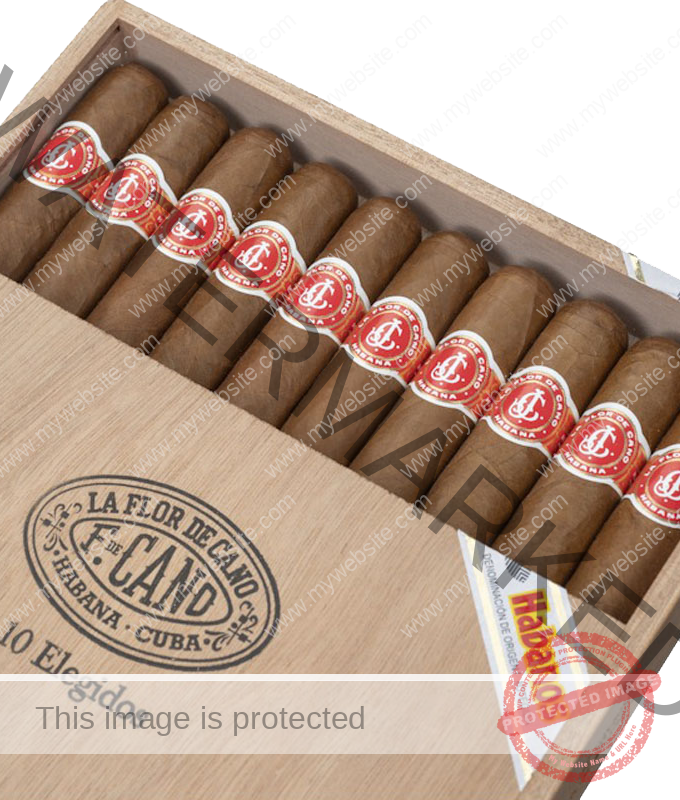 La Flor de Cano Elegidos