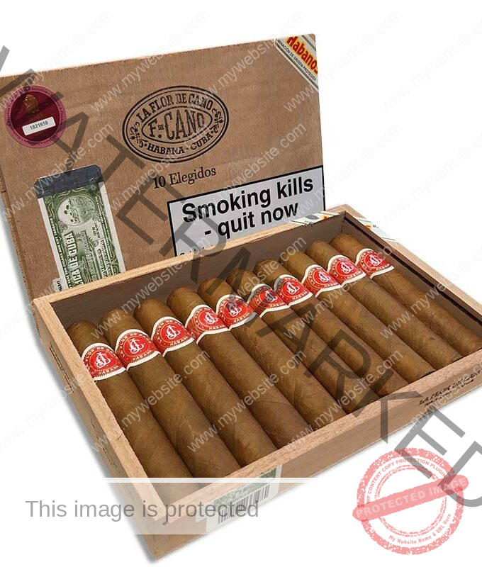 La Flor de Cano Elegidos La Saintos Cigars