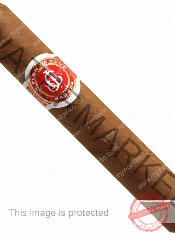La Flor de Cano Elegidos
