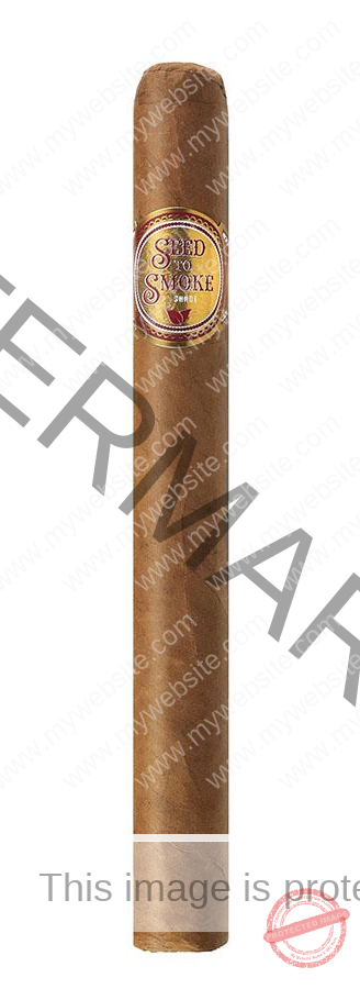 Rocky Patel Seed to Smoke Shade Churchill
