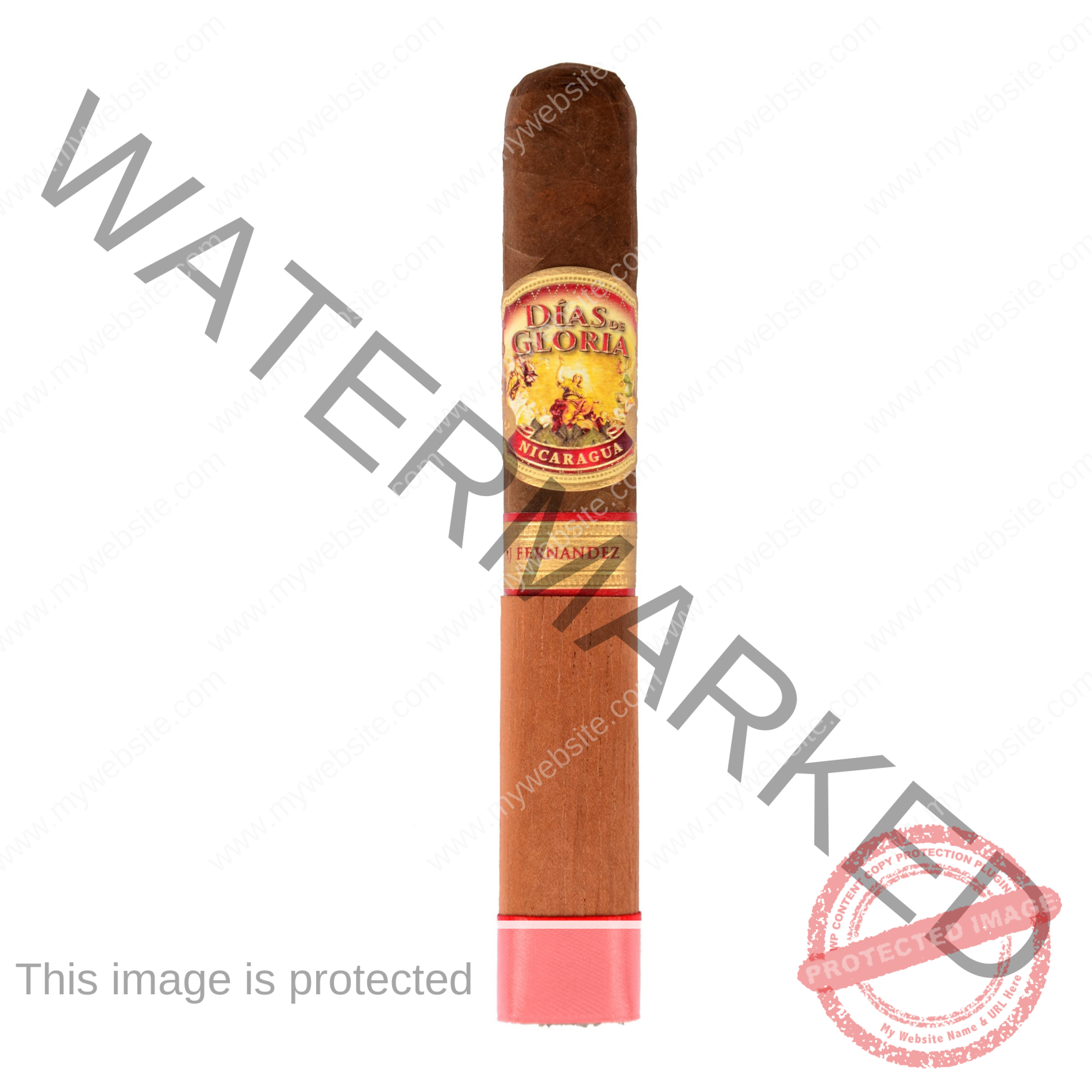 AJ Fernandez Dias de Gloria Toro La Saintos Cigars
