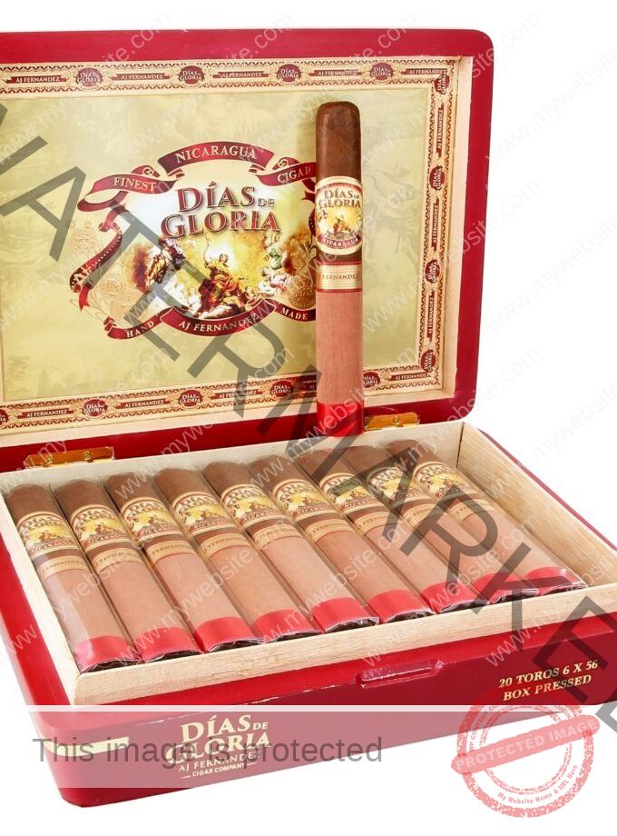 AJ Fernandez Dias de Gloria Toro La Saintos Cigars