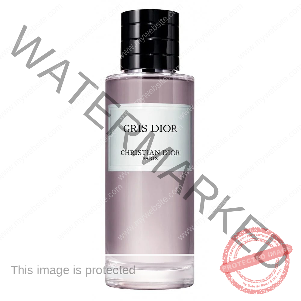 Christian Dior Gris Dior EDP La Saintos