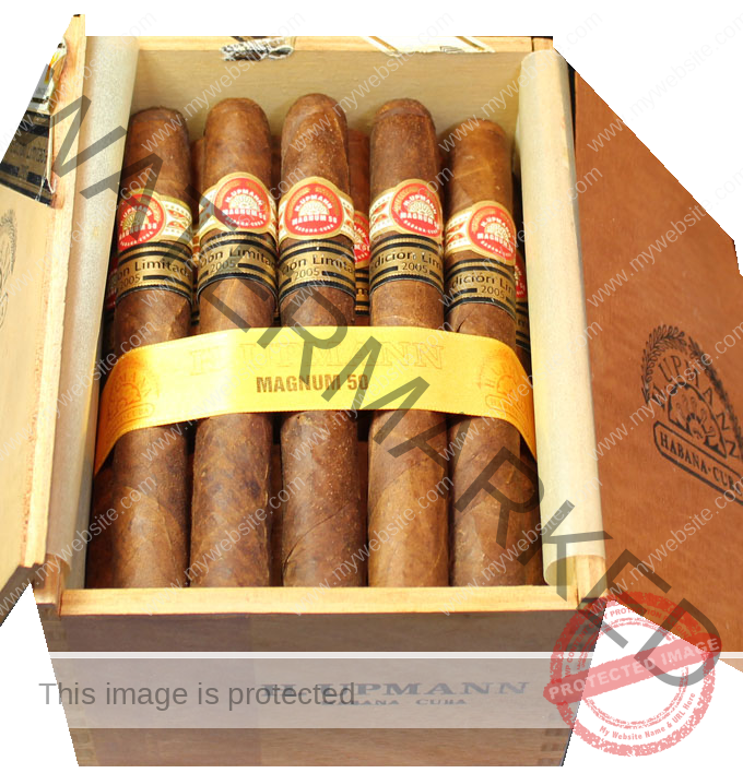 H UPMANN MAGNUM 50 La Saintos