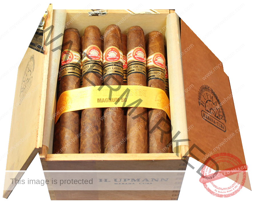 H UPMANN MAGNUM 50 La Saintos
