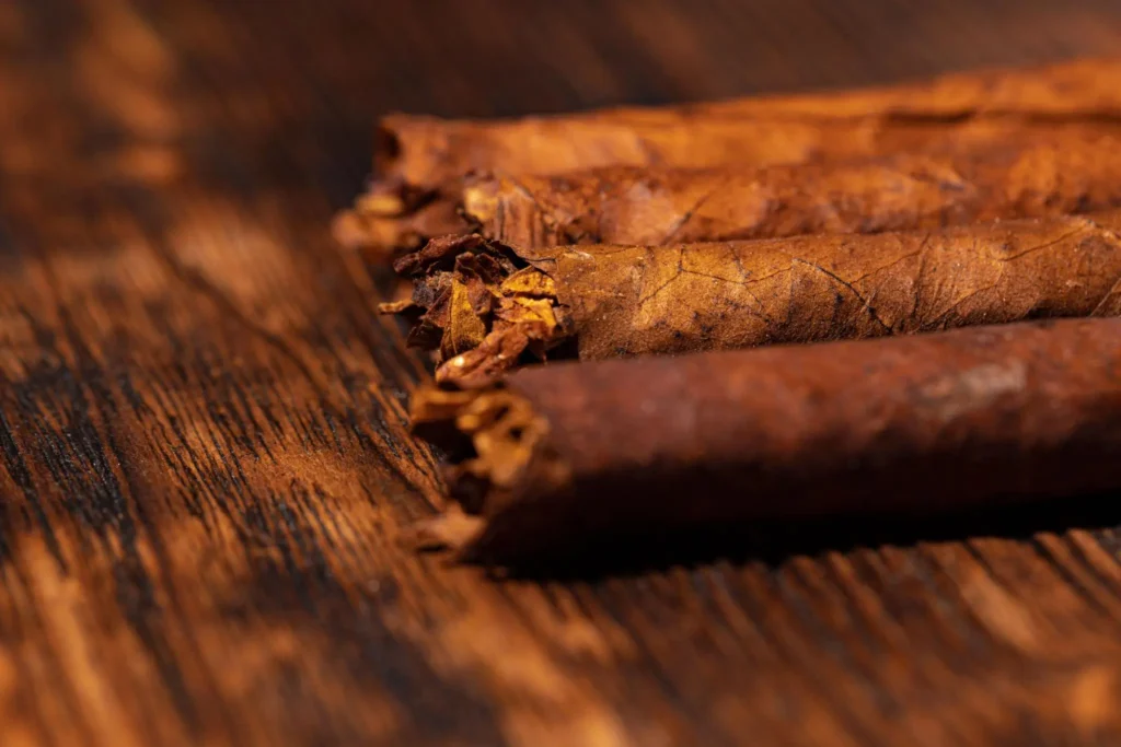 what makes a cigar premium featured La Saintos - Close-up of premium cigar filler and wrapper construction