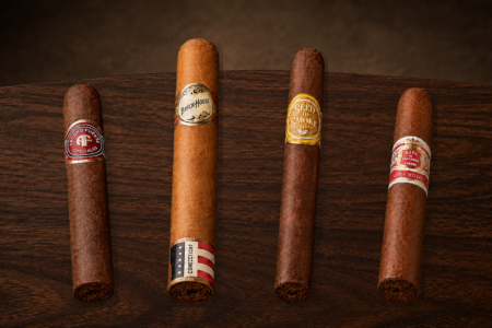 Best Cigars for Beginners in Pakistan La Saintos