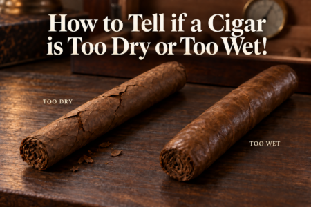 How to Tell if a Cigar is Too Dry or Too Wet La Saintos